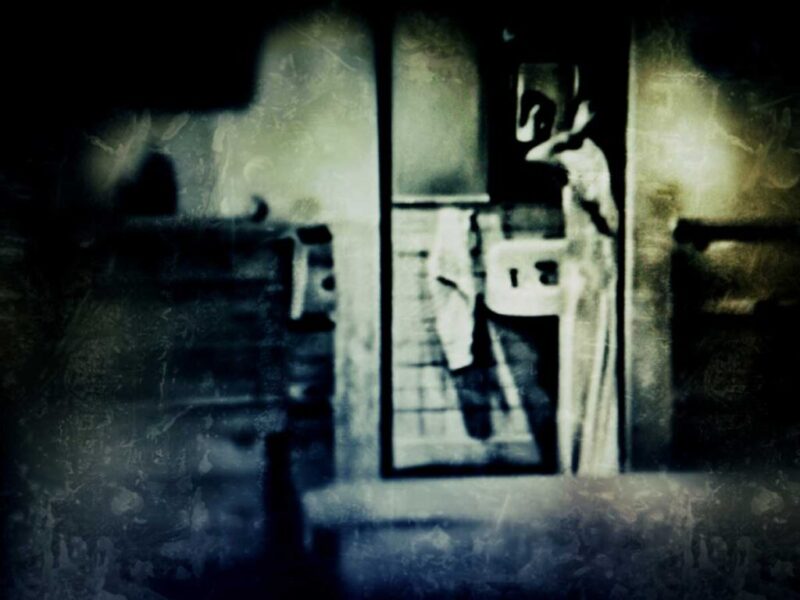 Despojo a la intimidad